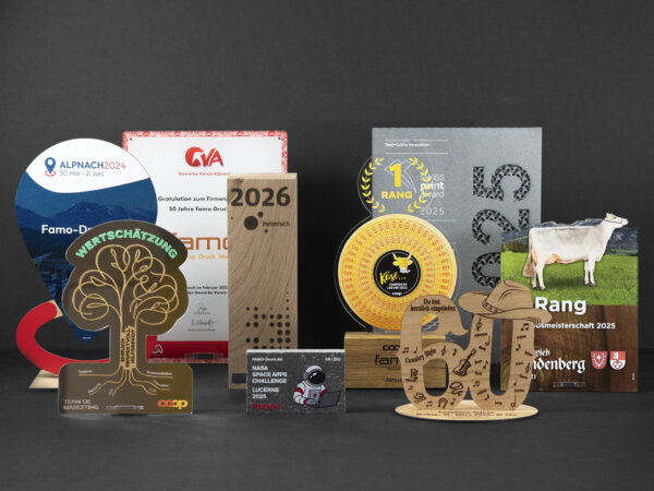 Famo Referenz Auszeichnungen