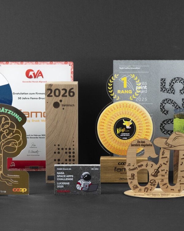 Famo Referenz Auszeichnungen