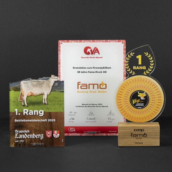 Famo Referenz Auszeichnungen 03