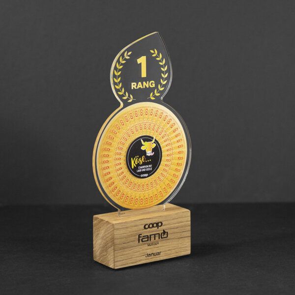 Famo Referenz Auszeichnungen 06