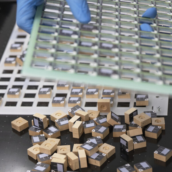 Famo Ingold Holzspielsteine3