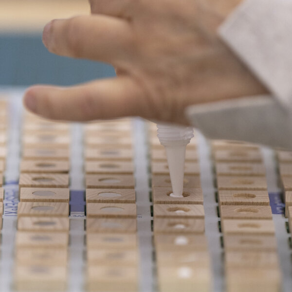 Famo Ingold Holzspielsteine6