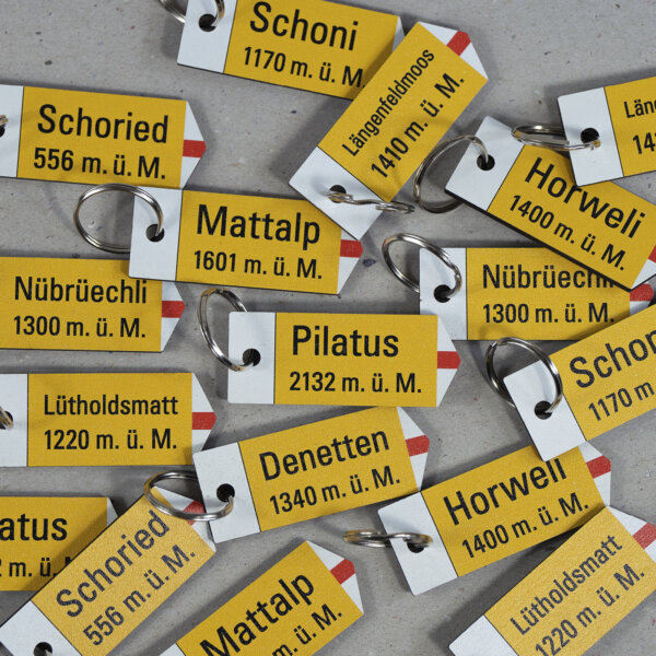 Famo Schluesselanhaenger 06