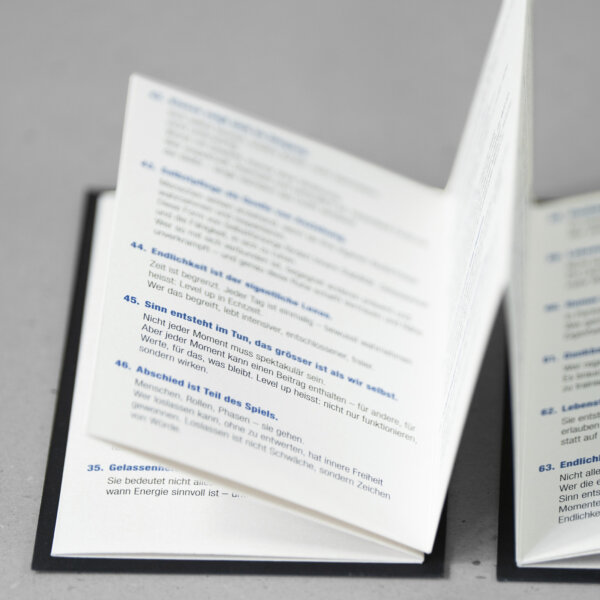Famo Druck Digitaldruck Leporello 03